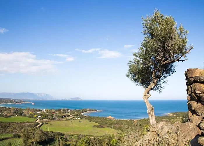 Skyline Terrace Apartman *